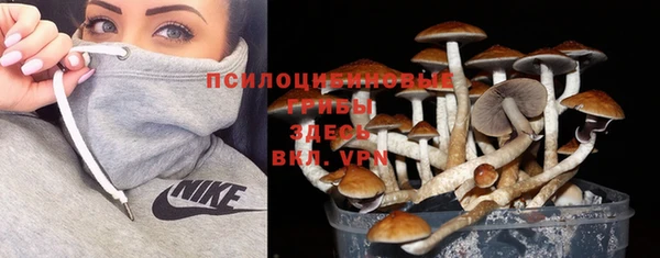амф Армянск