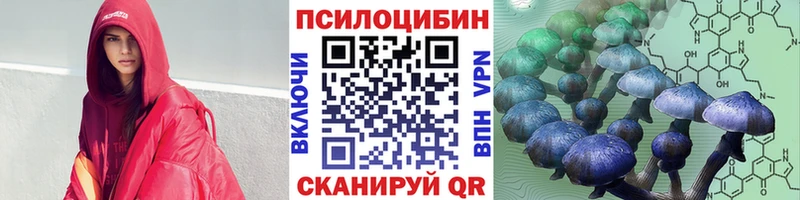 купить наркоту  Мамоново  Галлюциногенные грибы прущие грибы 